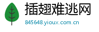 插翅难逃网